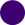 circle-dot-purple